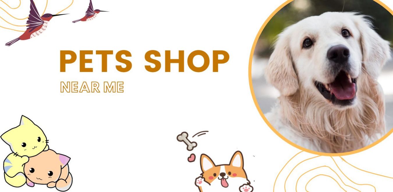 Adopt a Street Pet Near Me | Pet Shop Guide and Adoption Tips